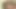 Gay Porn ( New Venyveras )