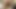 Blonde Hundin Stiefmutter ficken mit Papa