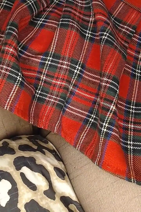 Pantyhose up My Skirt Pussy Tease