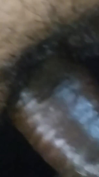 Jævla sugende fore Spill hjemmelaget video hårete liten fitte Huje pupper | Klipp 1