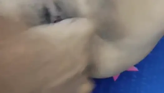 Beautiful bhabhi ki sexy chut ki chudai