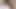 Şimdiye kadarki en iyi parmak kedi yakın çekim video