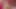 SEXY CORA wird in privatem Sex-Video hart gefickt und besamt