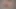 3D Beautiful Face Shemale Shooting Cum Loads