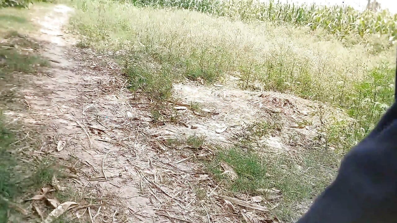 While Roaming in the Field, He Started Hitting the Hilt