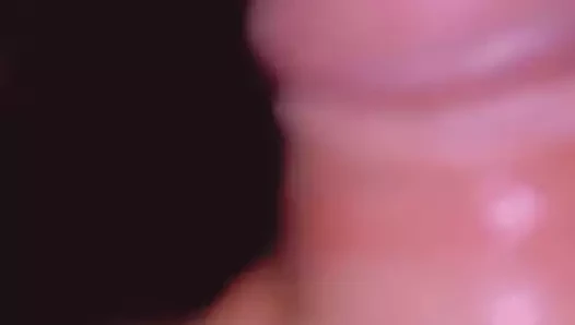 Moipratsex – הזין שלי בשבילך