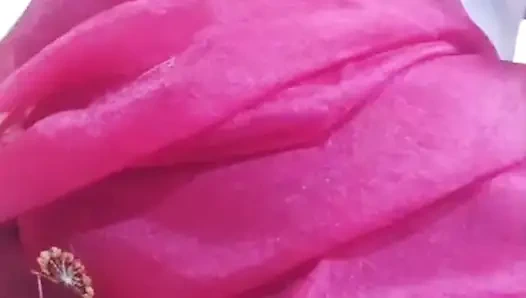 Saree la olu poda varangala