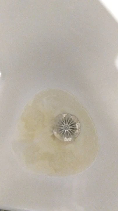 here is kevin peeing