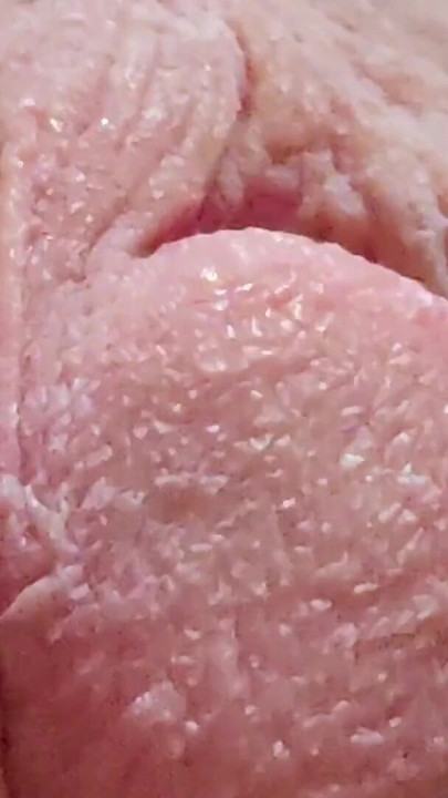 完美的藝術品 |片段 1