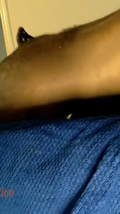Thot in Texas - African American Sex – Black Ebony | Clip 1