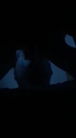 爸爸给我喂食