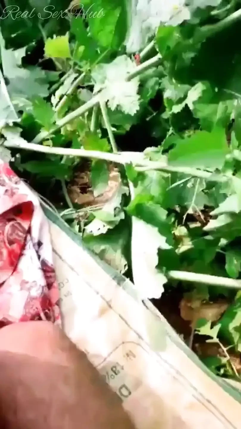 Indian Shop Maid Cheating Sex with Owner at Outdoor Farm