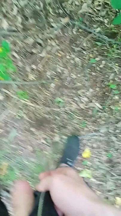 Key moment from "wank cruise. jerking off quickly in the woods until mom sees"