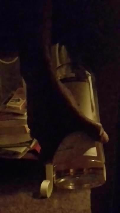 SMOKING PUSSY