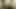 Seksi piliçler ve devasa yaraklarla ateşli bdsm