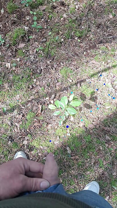 Boy peeing in a public wood