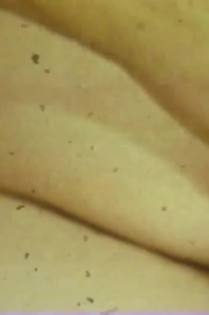 पागल हस्ताबादी