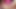 TRANSEXPOV: The Paige Turner Future!
