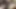 College girl sex with boy friend his room