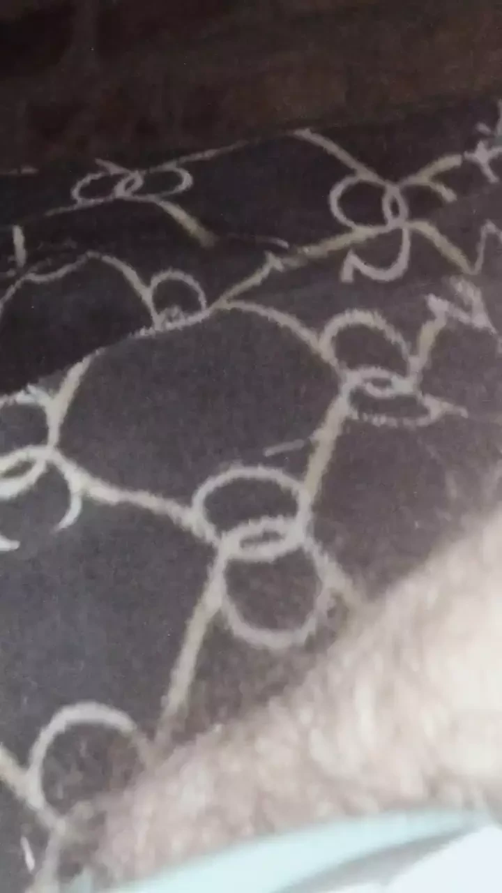 big thick comobian porn filled with lots of milk