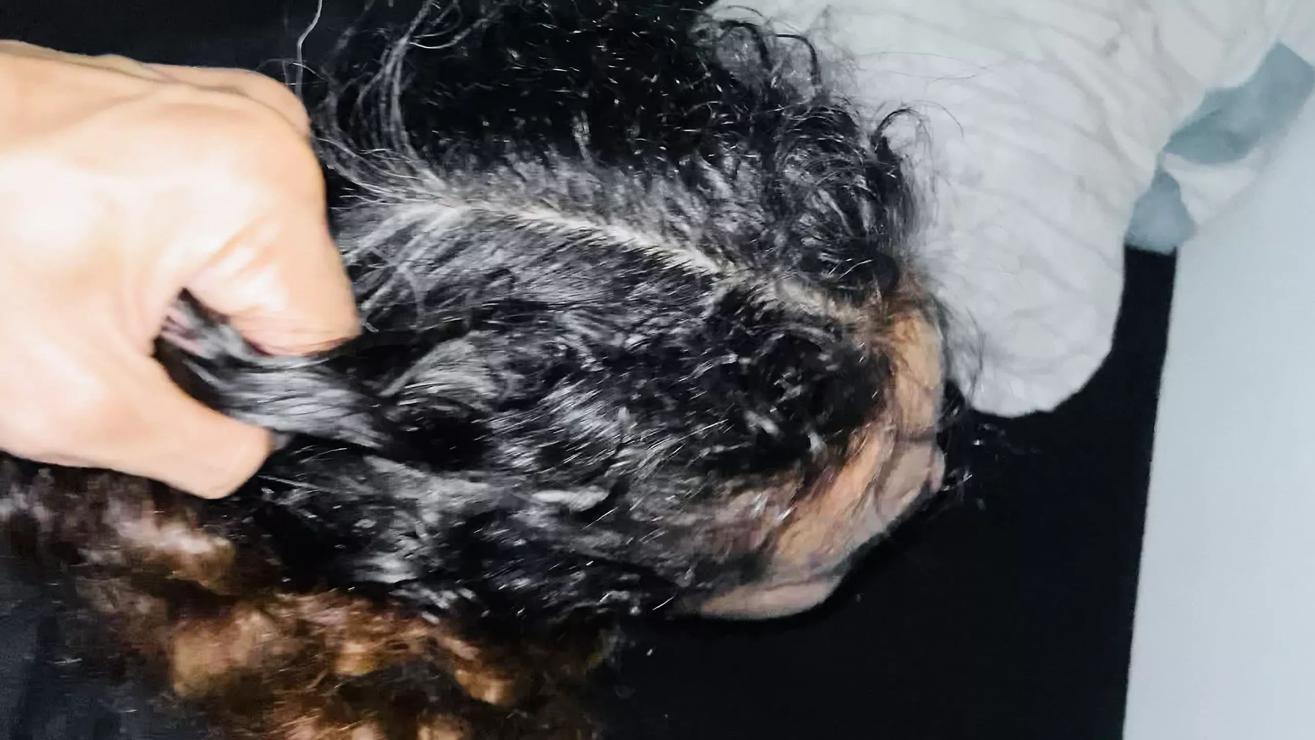 Penembusan berganda MILF dan creampie dubur 1