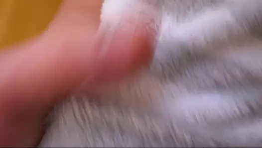 Die heiße vollbusige stieftochter Dada Deville erwischt beim porno gucken, liebt meinen schwanz und analsex. Intensiver squirting-orgasmus