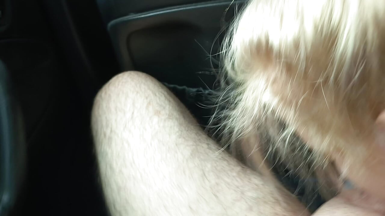 Whore in the Car 2