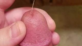 Precum cock!