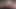 00005