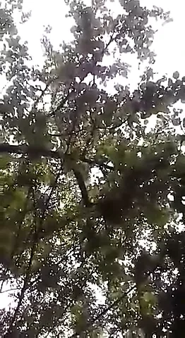 Mayotte mahoraise comorienne
