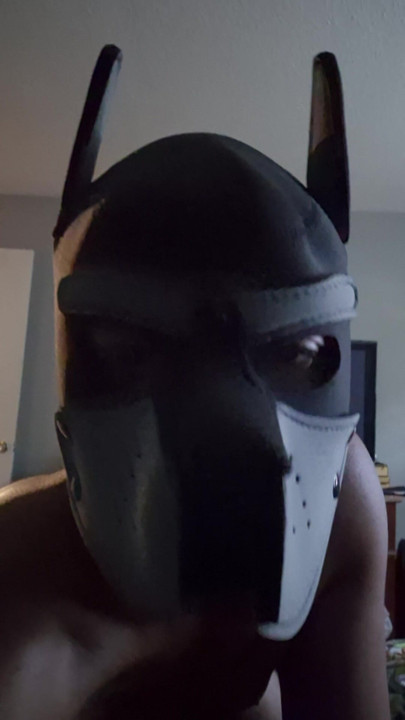 Just a nudes pup. English