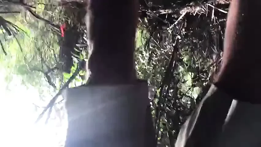 Tersedot di hutan