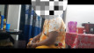 Pregled videozapisa