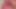 Close up cum shot of my black dick