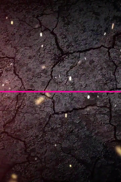 秘密裏にマッサージ師をしゃぶる