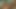 Luscious Lopez'in yüksek bir ağzı var, bu yüzden adamı onu takıyor ve göt deliği sıkı