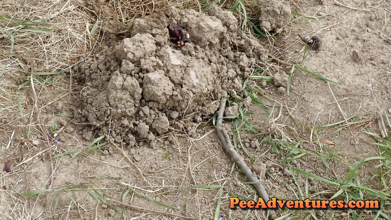 Pissing on a muscles of ants huge volume