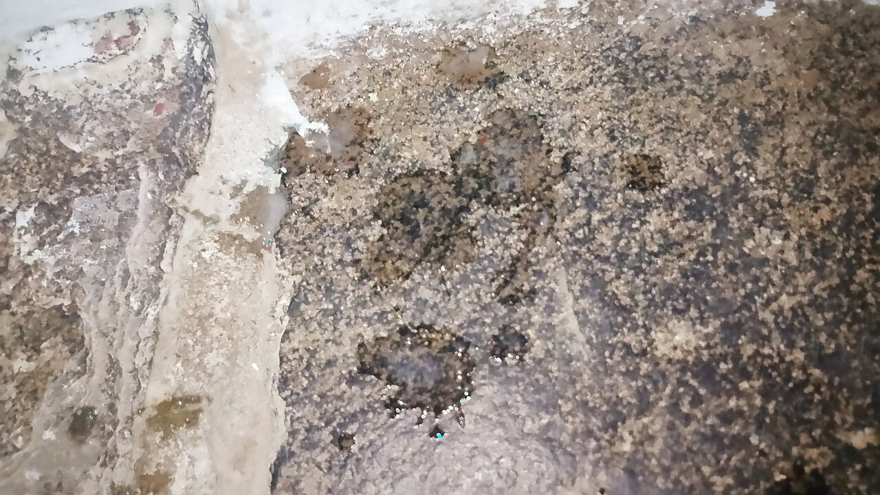 인도 섹시녀 애널 섹스