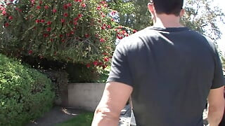 Cock Giants
