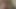 Sexy Video Cock cock