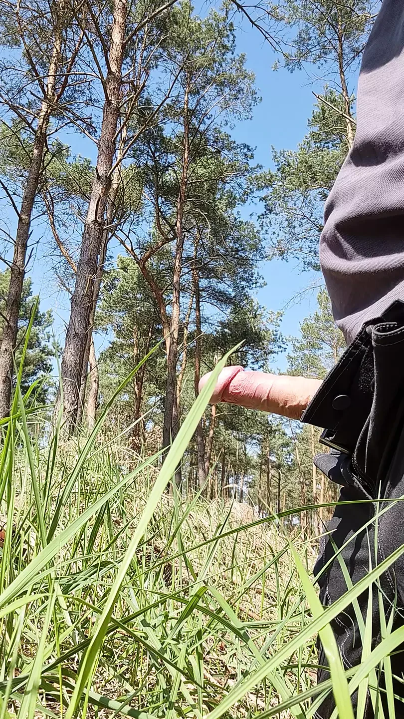 Quick jerk off in the woods
