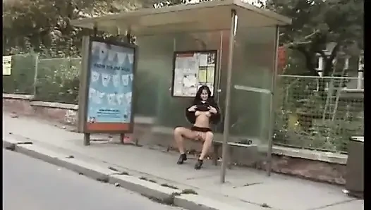 Pissing pussies (1) - DVD