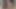 Bombshell Ball Sucking MILF Celaena C Sucks a Thick Cock Until It Blows Big Thick Cumshot