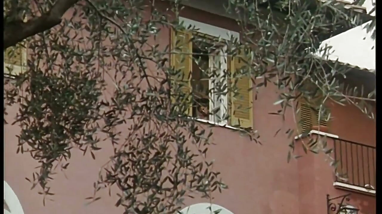 Lins de pizdă păroasă retro cu Rocco Siffredi