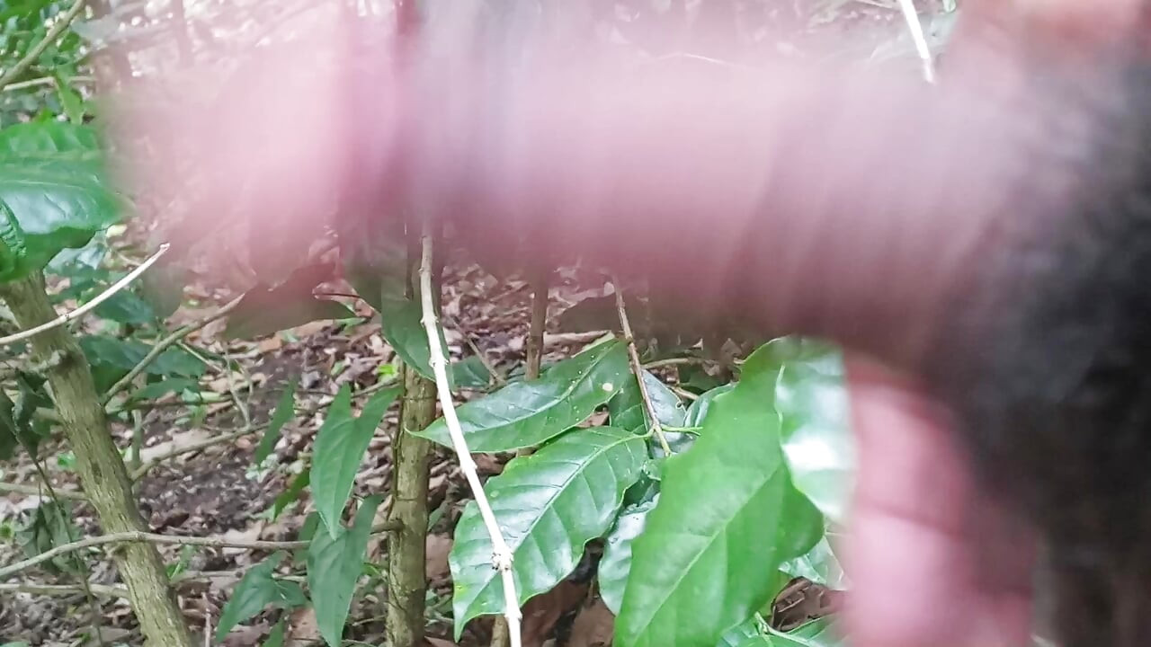Male Pregnant Passive Swallower
