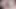 Privateblack - gina gerson 4 siyah horoz için bacaklarını açar!