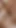 2 Seksi Iri Güzel Kadın Ve 1 Büyük Zenci