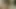 Video 1224