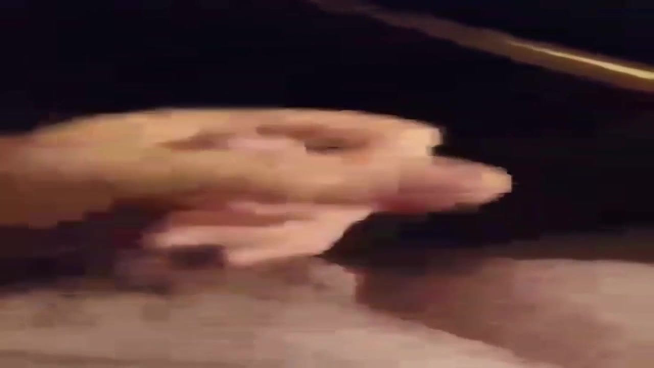 私のチンポ4
