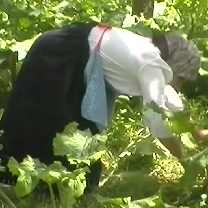Chubby wife outdoor fucking by her toyboy
